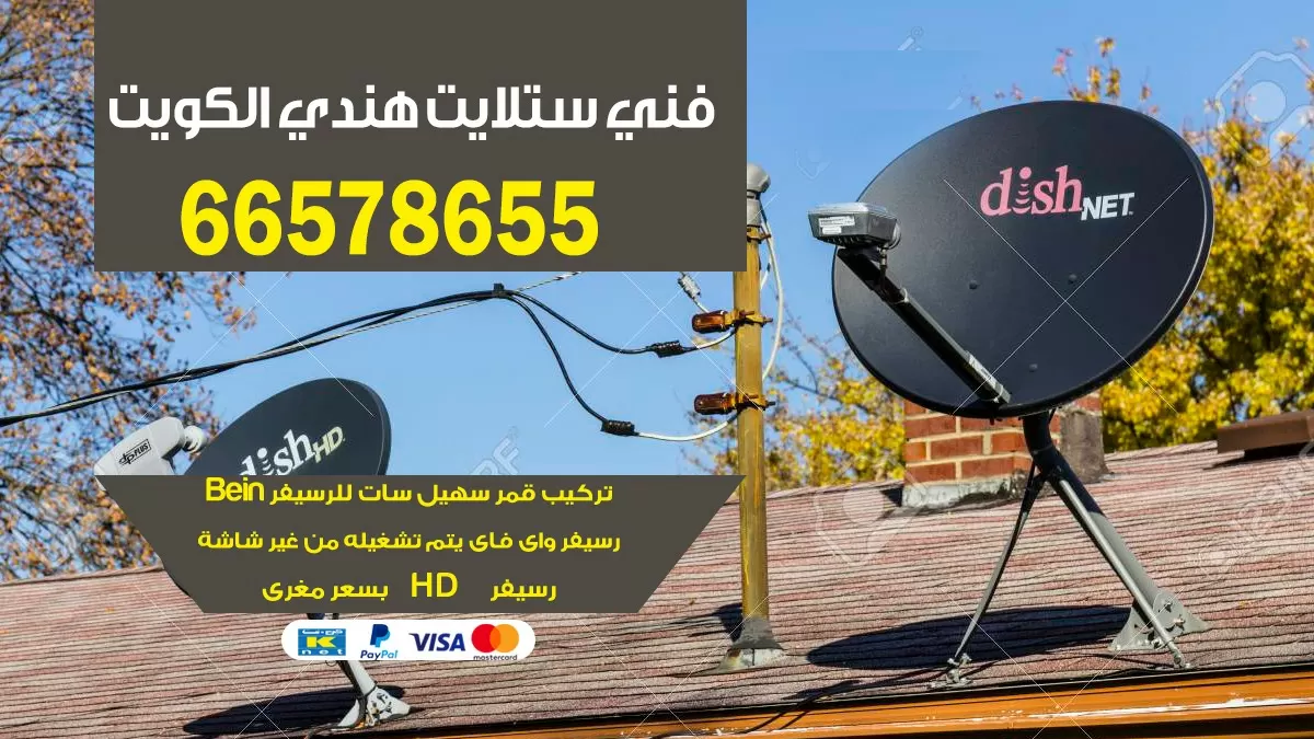 فني ستلايت المطار 66133708