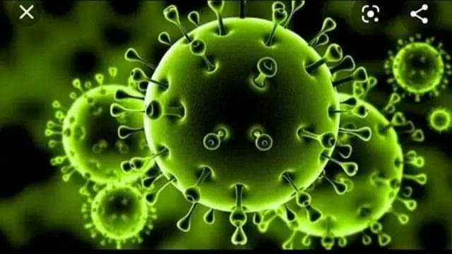مخاطر فيروس كورونا الاسباب الوقاية وطرق العلاج
