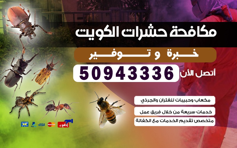 مكافحة الحشرات 50943336 بالكويت