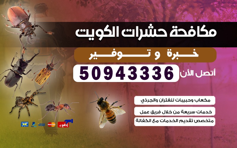 مكافحة الحشرات المنطقه الرابعه  50943336 بالكويت