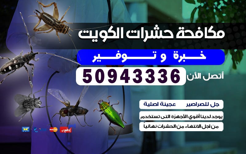 مكافحة حشرات وقوارض بالكويت