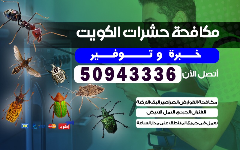 مكافحة الحشرات حولي السالمية الكويت 50943336