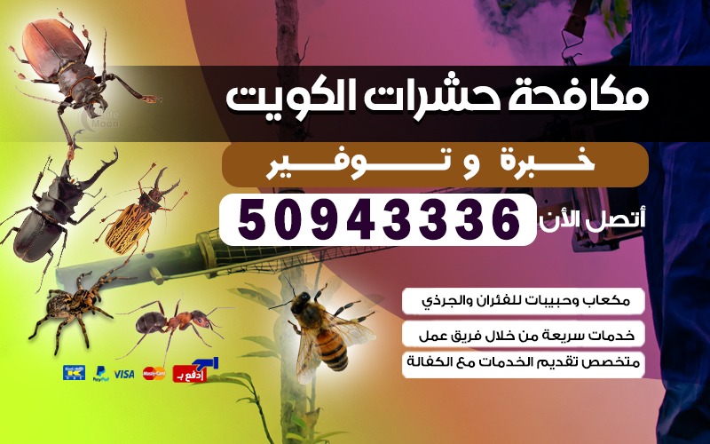 مكافحة الحشرات حولي