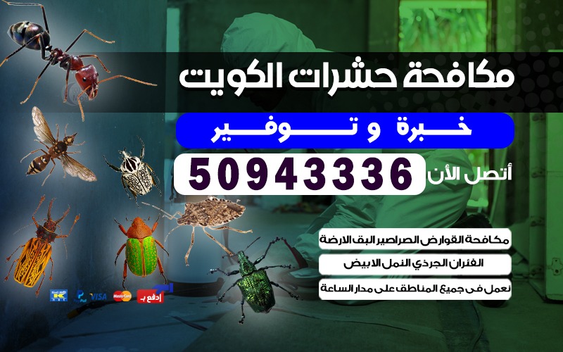 مكافحة حشرات بيان
