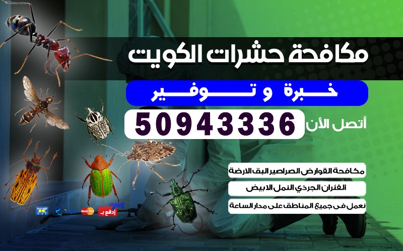 مكافحة حشرات قوارض النزهة