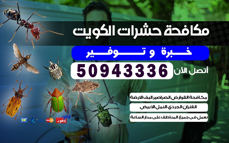 مكافحة حشرات ضاحية حطين بالكويت