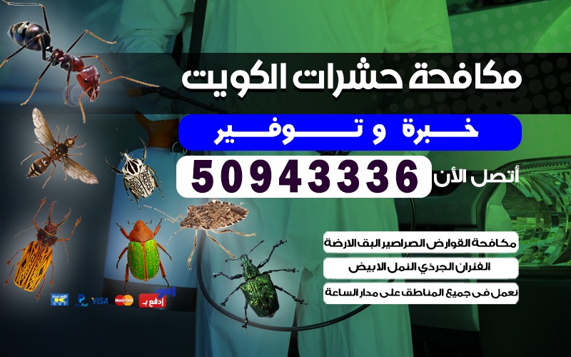 مكافحة حشرات ضاحية الزهراء
