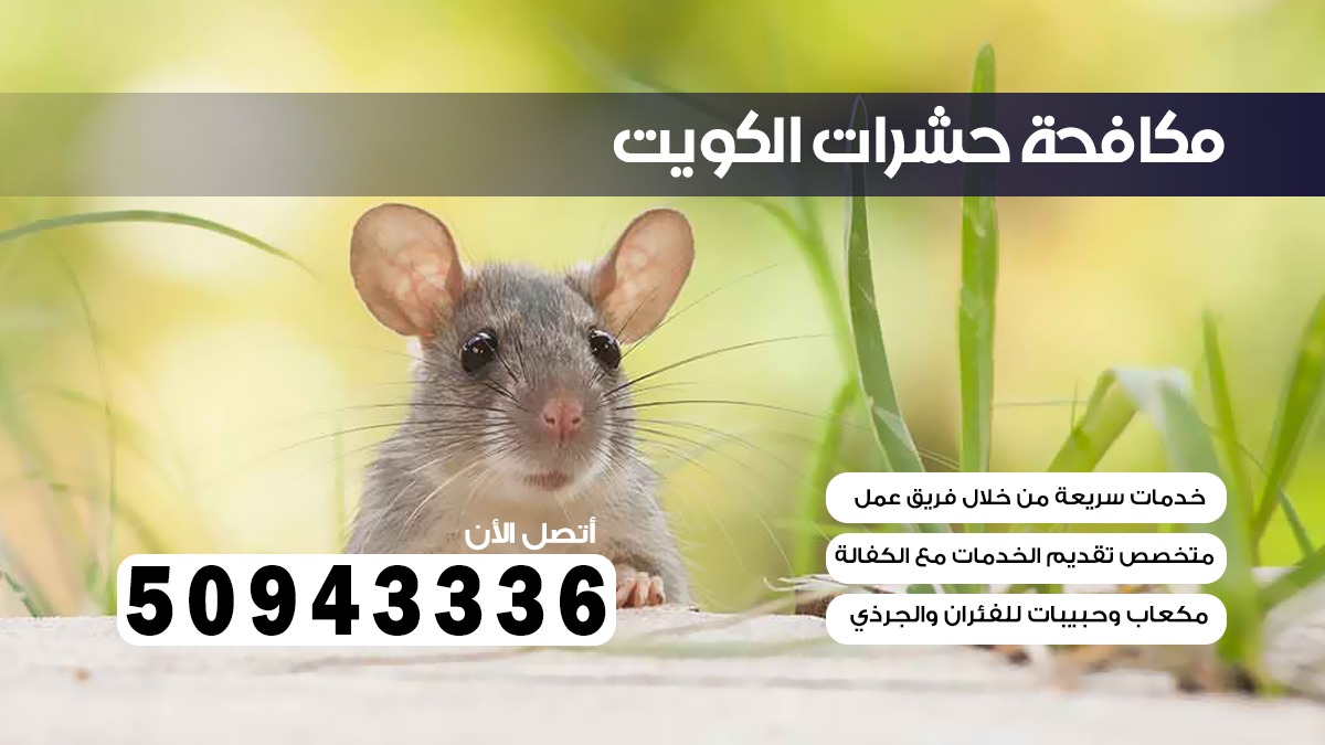 مكافحة قوارض صباح السالم