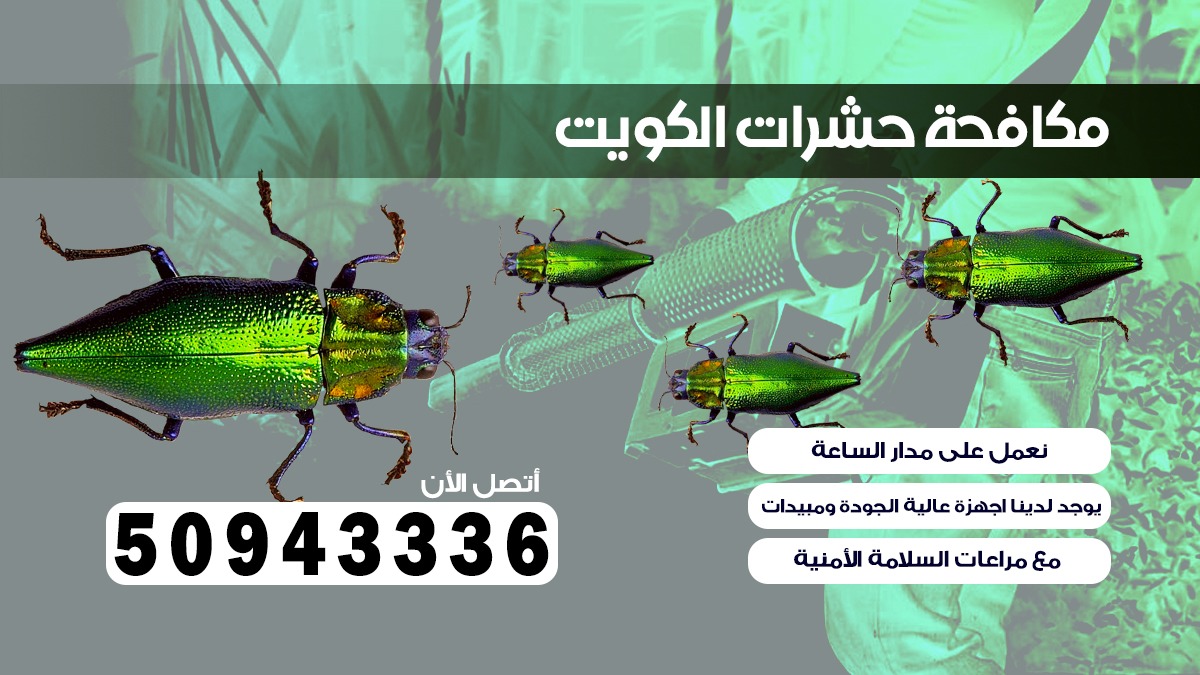 ابادة حشرات رأس السالميه بلكويت