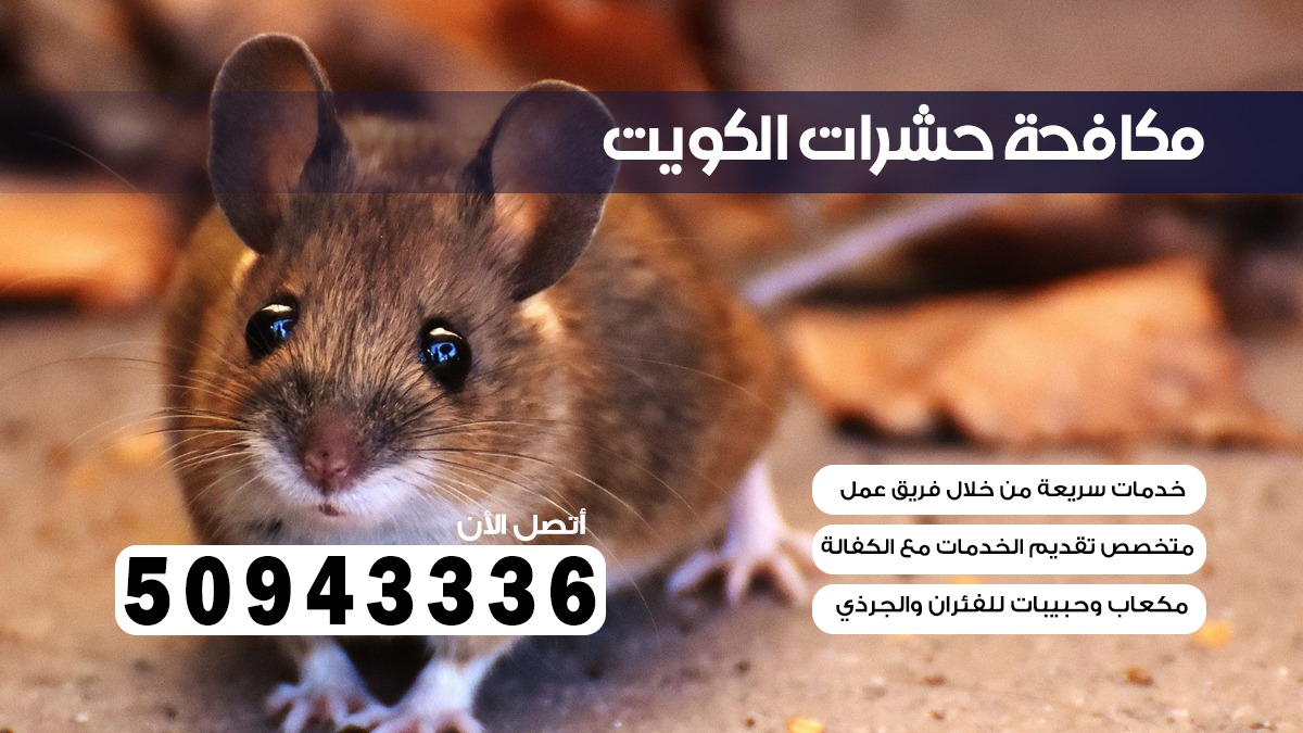 مكافحة قوارض كيفان