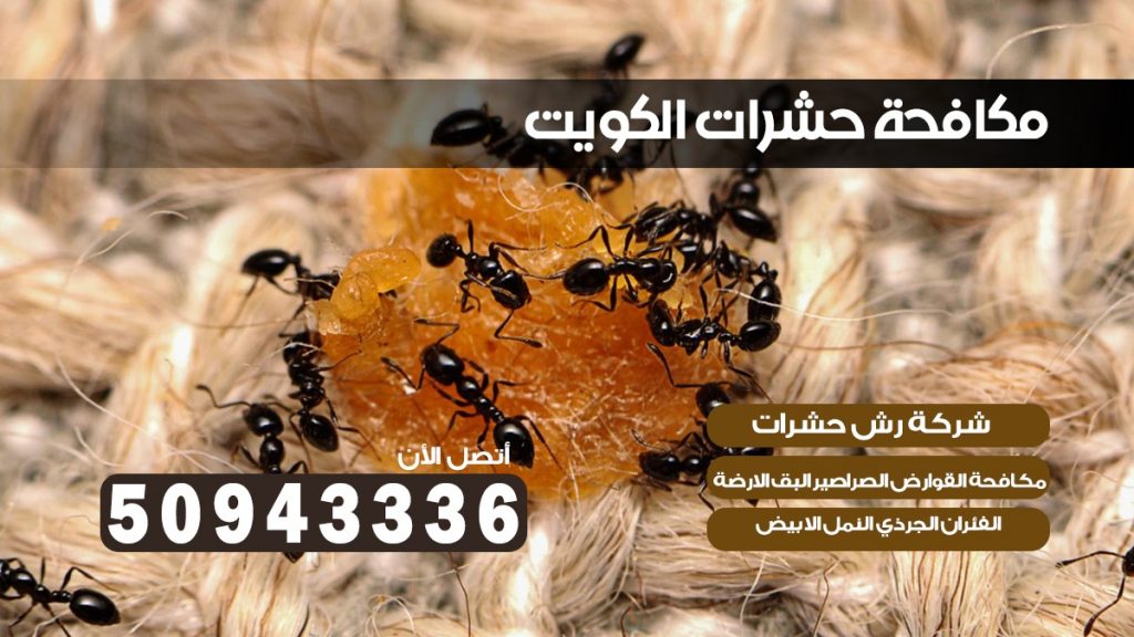 ابادة حشرات القيروان الكويت