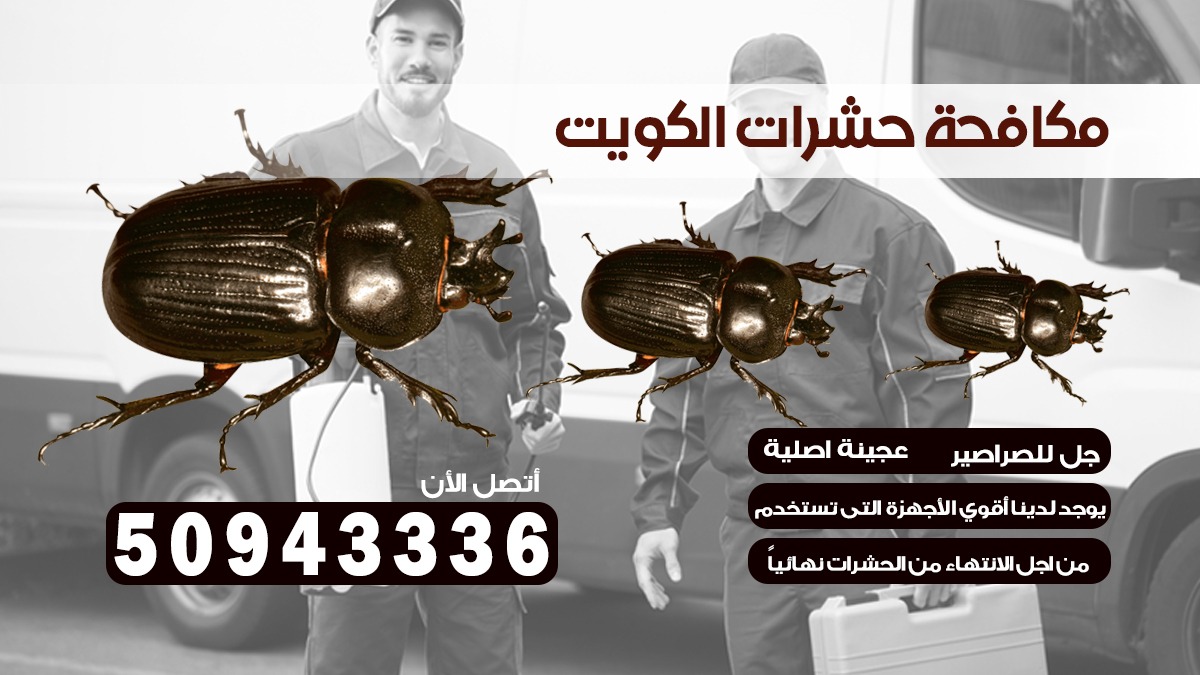 مكافحة بق الفراش المطار