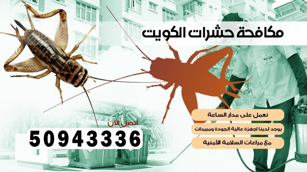 مكافحة الصراصير ابو فطيرة