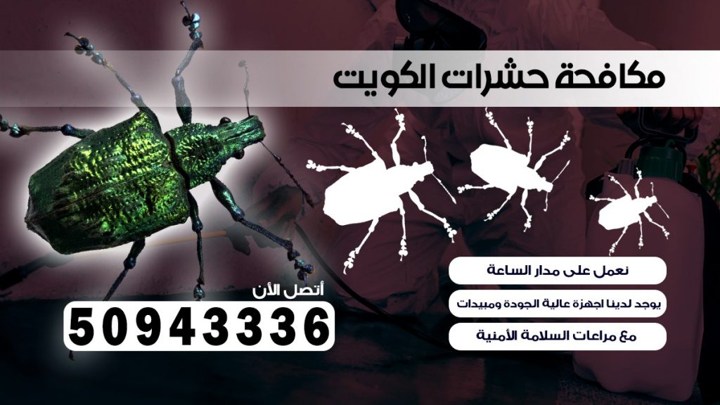 ابادة حشرات ابو حليفه بالكويت