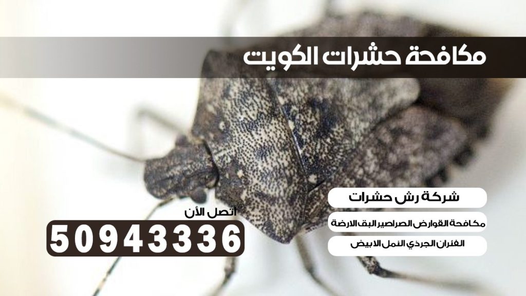 مكافحة بق الفراش الأندلس