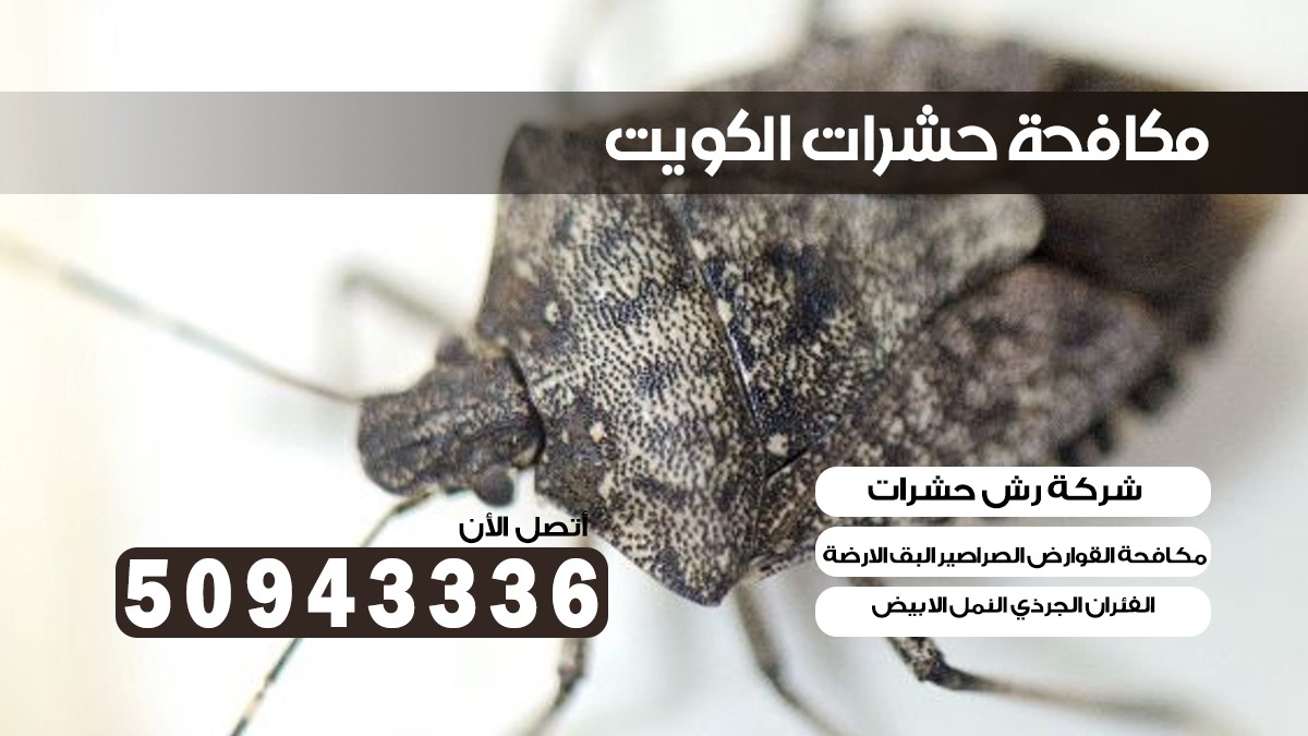ابادة حشرات غرب الجليب بالكويت