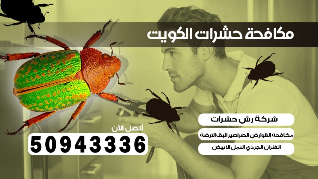 مكافحت الحشرات الروضة