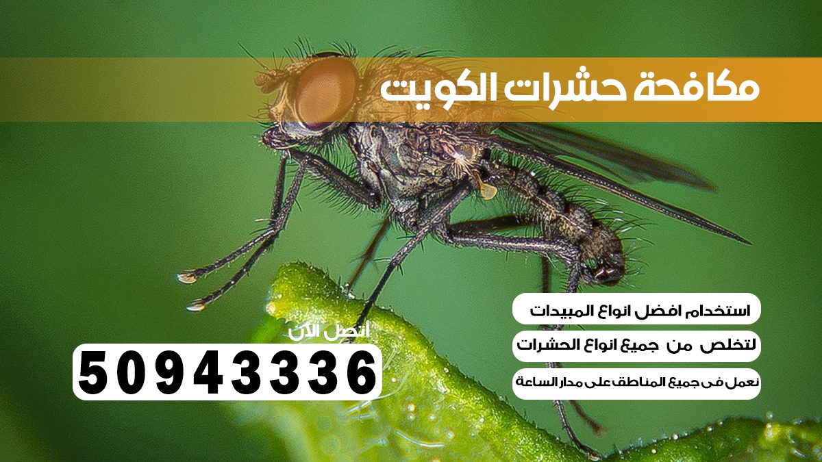 ابادة حشرات العارضيه قسائم