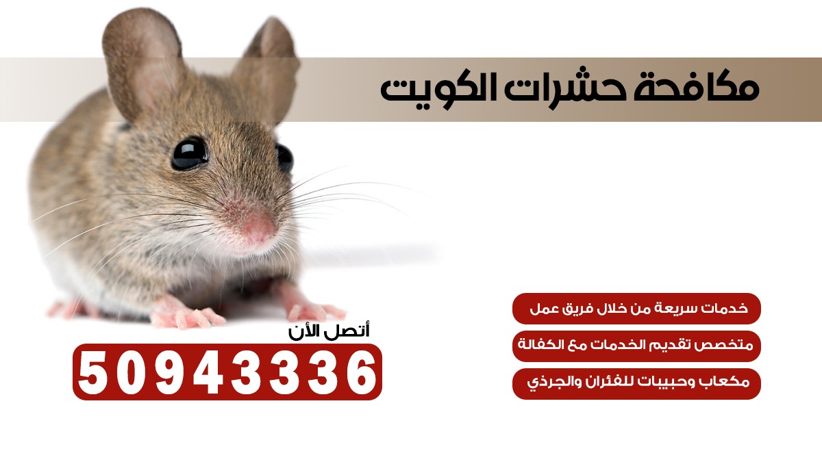 مكافحة قوارض القيروان