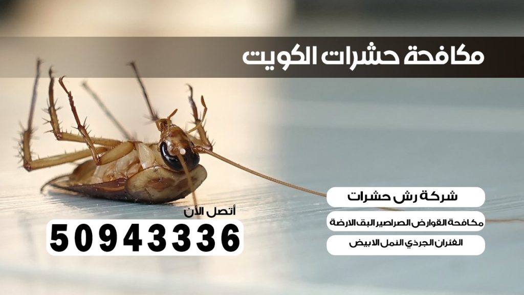 مكافحة الصراصير الرقة