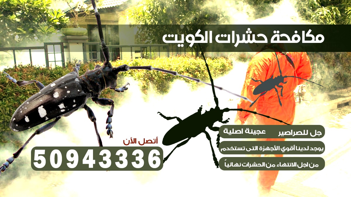 شركة حشرات ابو الحصاني بلكويت