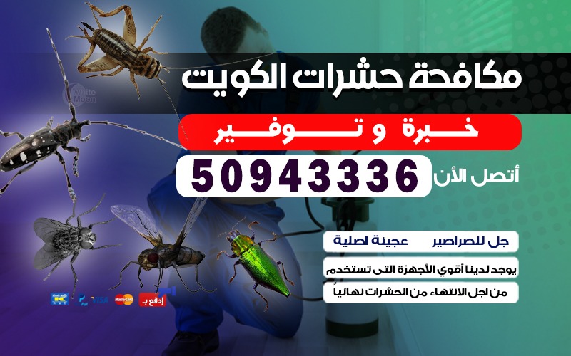 مكافحة الحشرات الكويت