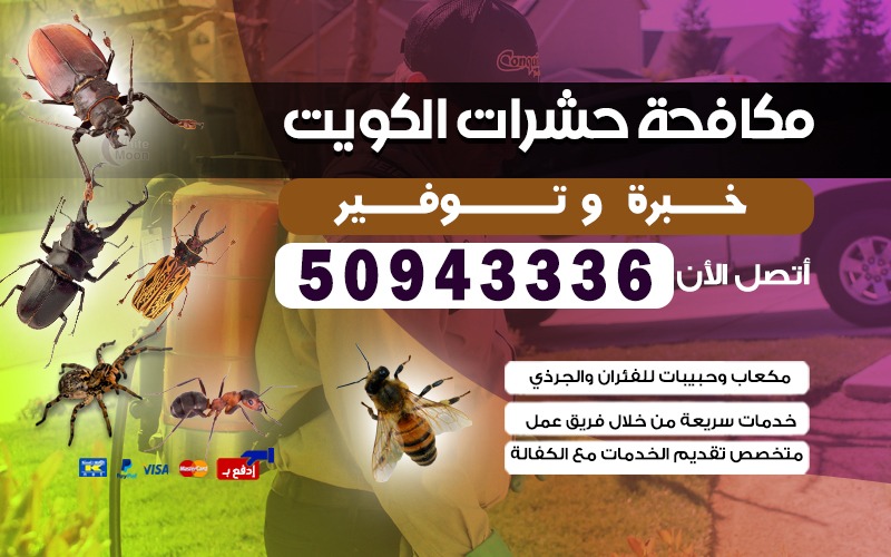 مكافحة الحشرات الروضه
