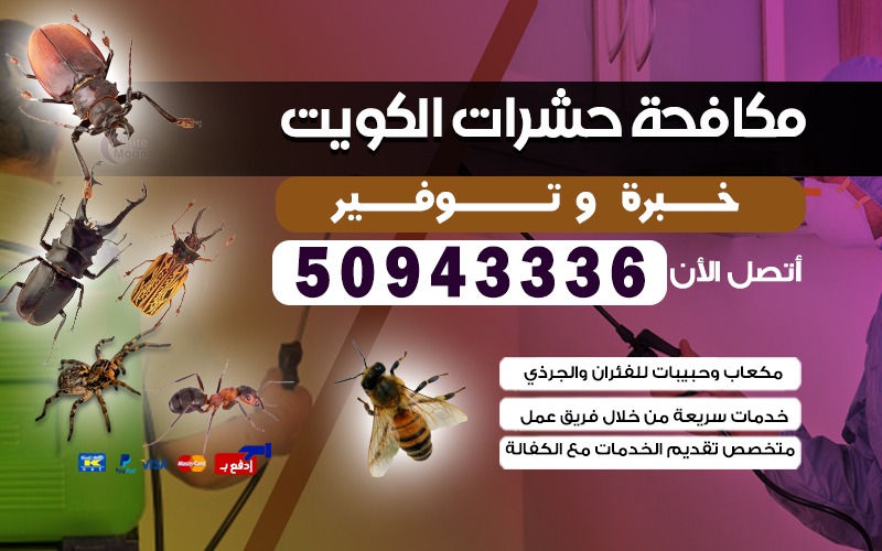 مكافحة القوارض الظهر 50943336 مكافحة الحشرات