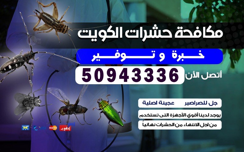 مكافحة القوارض بيان 50943336 مكافحة الحشرات