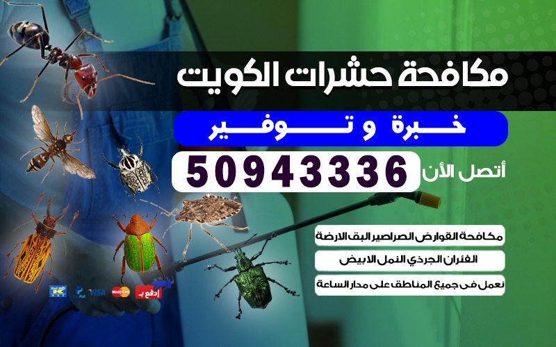 مكافحة حشرات صباح السالم