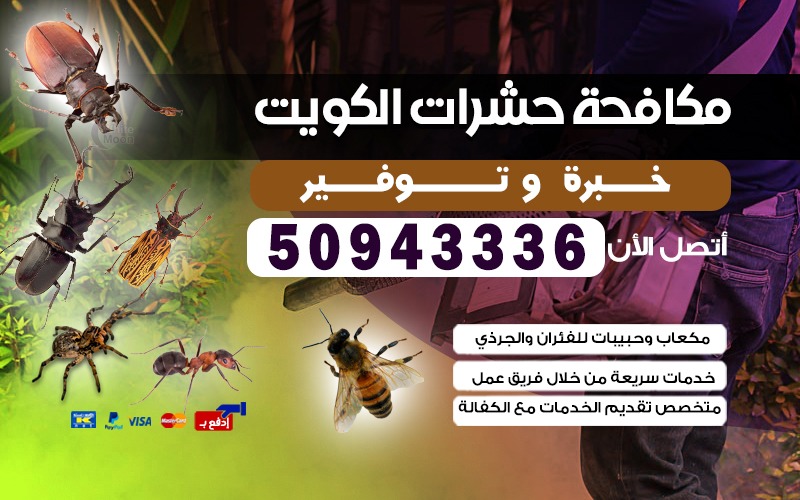 رقم شركة مكافحة قوارض