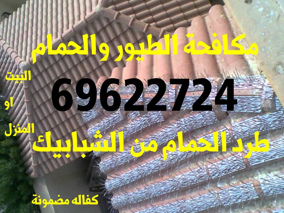 شوك شبك طارد الطيور 51222132 خدمات بالكويت